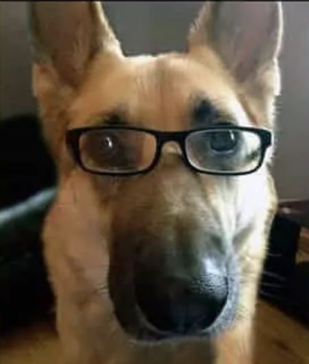 Inspector Reno